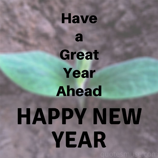 80 Have A Great Year Ahead SMS Messages Wishes Quotes Muse